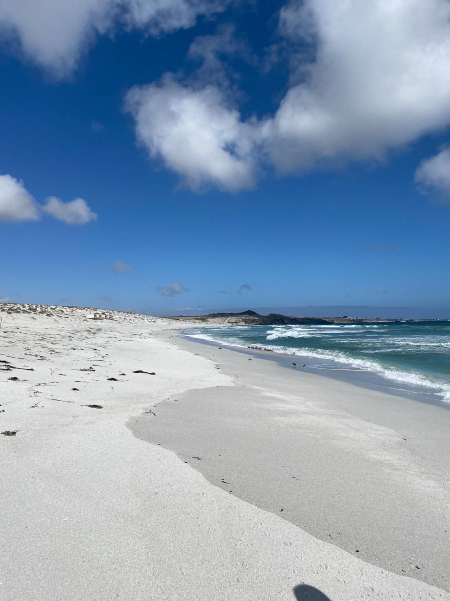Punta De Choros Lodge Kültér fotó